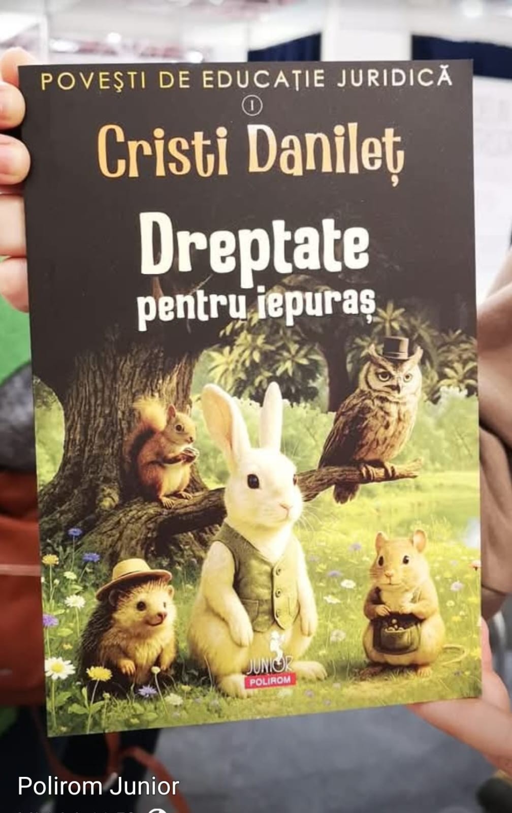 Povești de educație juridică: „Dreptate pentru iepuraș”