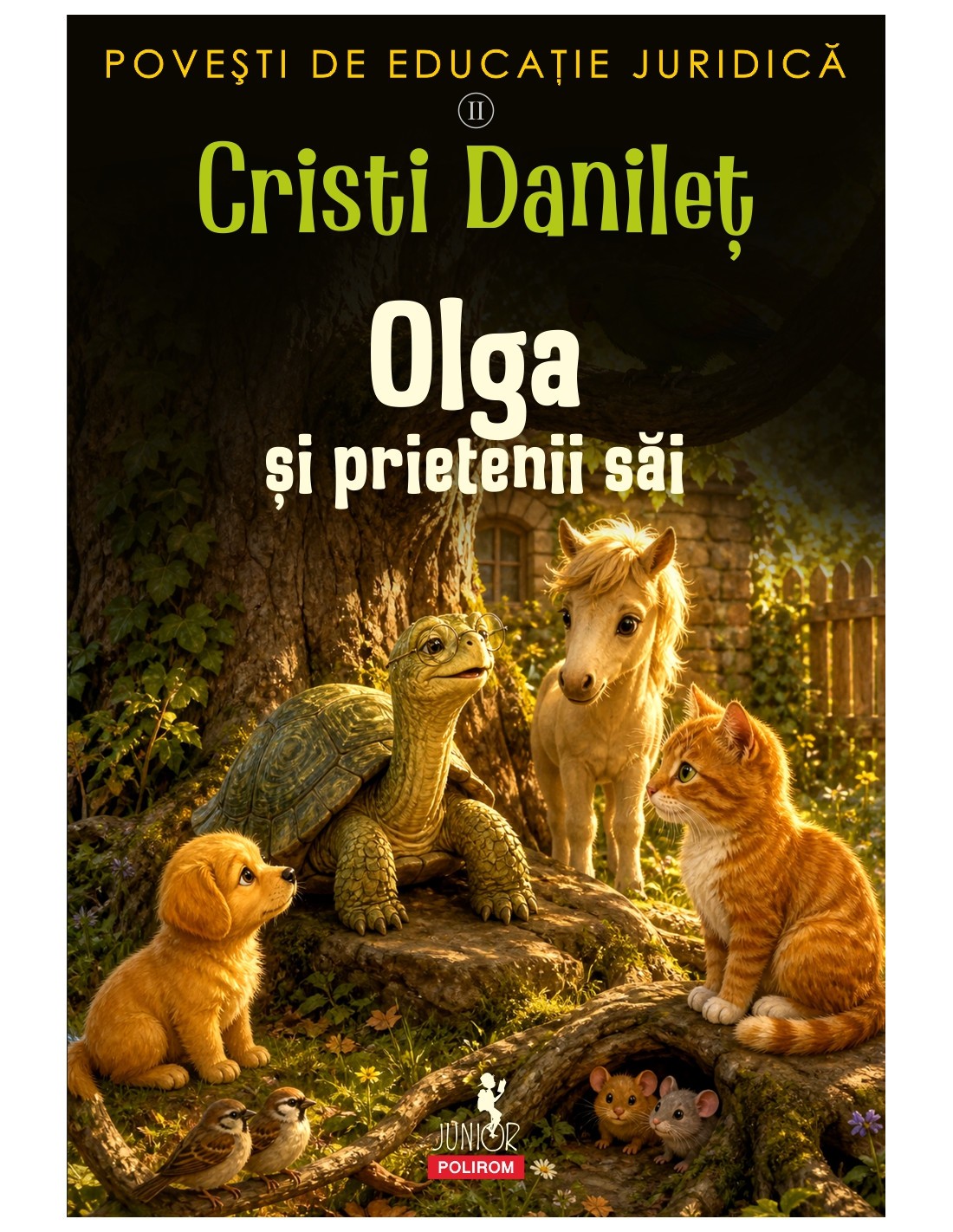 Nouă carte de povești de educație juridică