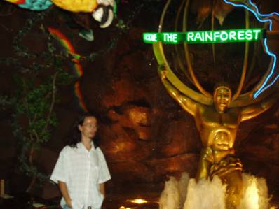 rainforest.jpg